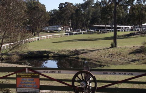 Bullock Mountain Homestead - Dalby Accommodation 4