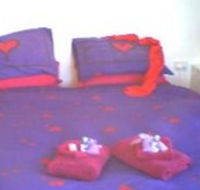 Aloomba Lavender - Accommodation - Dalby Accommodation