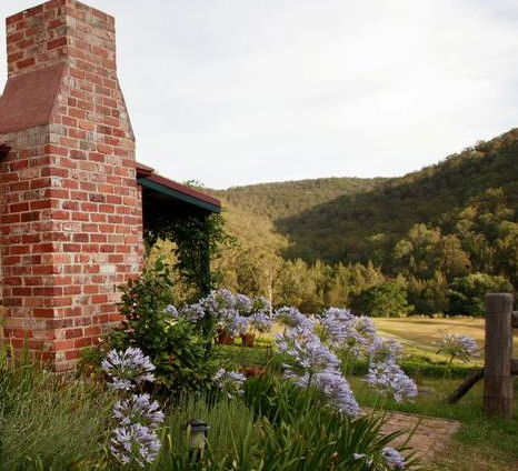 Cedar Creek Vineyard Cottages - Dalby Accommodation 1