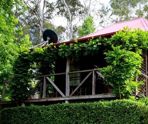 Cedar Creek Vineyard Cottages - Dalby Accommodation 2