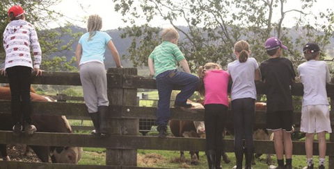 Ashmar Farm Stay - Dalby Accommodation 4