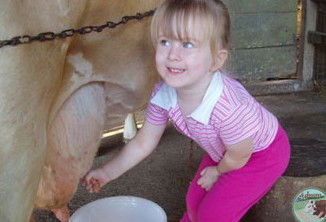 Ashmar Farm Stay - Dalby Accommodation 5