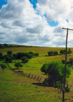 Mango Hill Cottages Bed And Breakfast - Dalby Accommodation 2