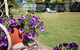 Shelly Beach Motel - thumb 1