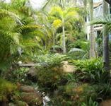 Chamomile Bed and Breakfast - Dalby Accommodation