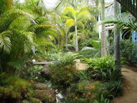 Chamomile Bed And Breakfast - Dalby Accommodation 0