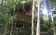 Adjinbilly Rainforest Retreat Cabins - thumb 0