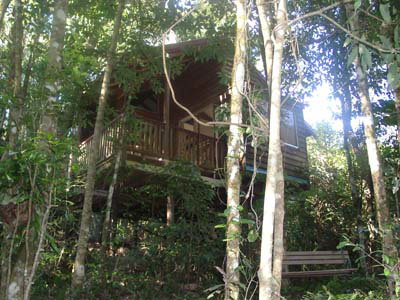 Adjinbilly Rainforest Retreat Cabins - Dalby Accommodation 0