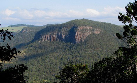 Arborlee Rainforest Retreat - Dalby Accommodation 3