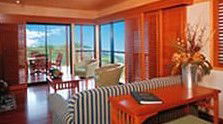OReillys Rainforest Retreat - Dalby Accommodation 0