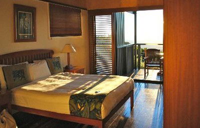 OReillys Rainforest Retreat - Dalby Accommodation 2