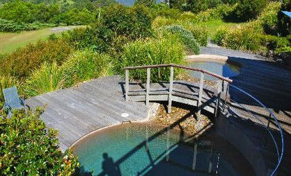 OReillys Rainforest Retreat - Dalby Accommodation 4