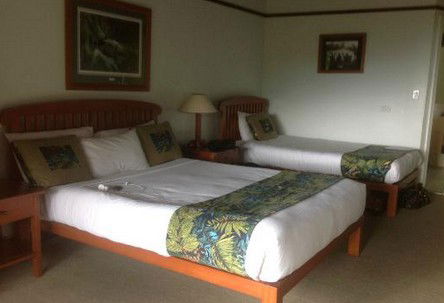 OReillys Rainforest Retreat - Dalby Accommodation 5