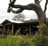 The Hollow Log Country Retreat - Dalby Accommodation