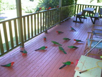 A Little Bit Of Heaven - Holiday Home - Dalby Accommodation 8