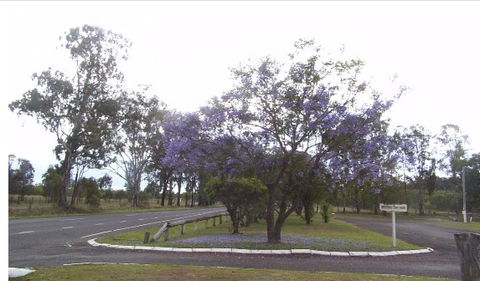 Nanango Caravan And Motorhome Park - Dalby Accommodation 4
