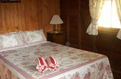 Bunyip Springs Farmstay - Dalby Accommodation 2
