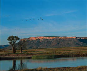 El Questro Homestead - Dalby Accommodation 0