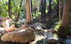 El Questro Homestead - thumb 2