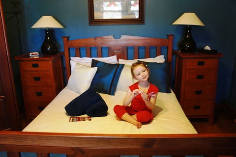 Carter Cottages - Dalby Accommodation 4