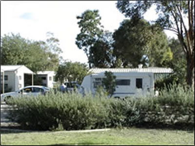 Banksia Tourist Park - Dalby Accommodation 3