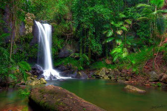 Amber Lodge Bed & Breakfast Tamborine Mountain - Dalby Accommodation 2