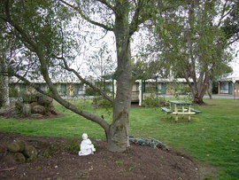The Gold Sovereign Motor Inn - Dalby Accommodation 0