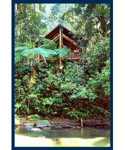 The Canopy Treehouses - Dalby Accommodation 1