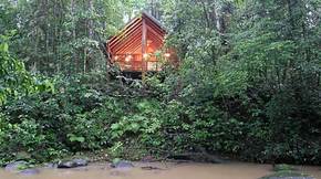 The Canopy Treehouses - Dalby Accommodation 5