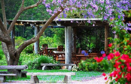 Bago Vineyards - Dalby Accommodation 1