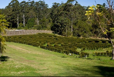 Bago Vineyards - Dalby Accommodation 2