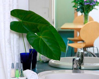 The Point Brisbane - Dalby Accommodation 2