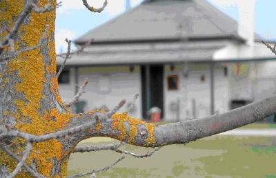 Dunalan Host Farm Cottage - Dalby Accommodation 1