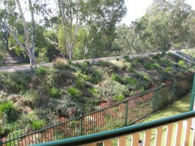 The Lawson Motor Inn - Dalby Accommodation 4