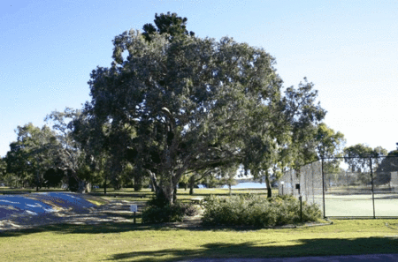 Coolwaters Holiday Village - Dalby Accommodation 5