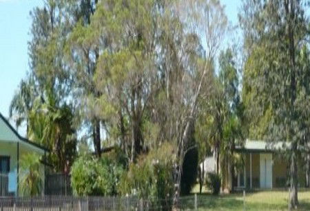 Nimbin NSW Dalby Accommodation