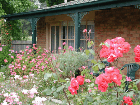 Balnarring Village Motor Inn - Dalby Accommodation 5