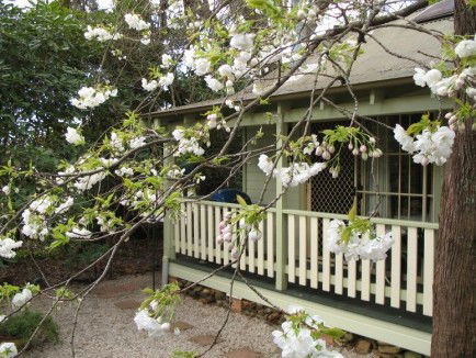 Harrow Cottages - Dalby Accommodation 0