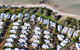 Whalers Cove Villas - thumb 0