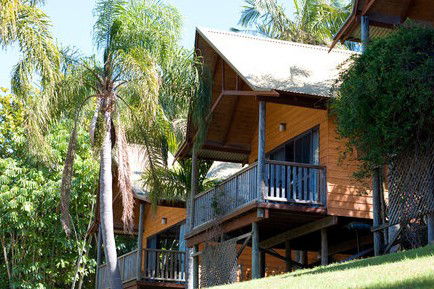 A Paradise Palms Resort - Dalby Accommodation 1