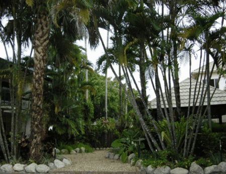 High Chaparral Motel And Apartments - thumb 1