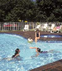 Lake Wendouree Tourist Park - Dalby Accommodation 0