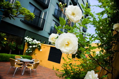 The Old Woolstore Apartment Hotel - Dalby Accommodation 5