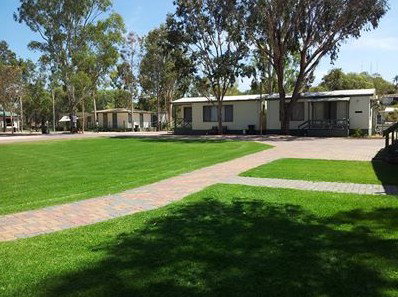 Riverside Holiday Park Blanchetown - Dalby Accommodation 0