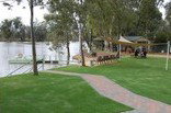 Riverside Holiday Park Blanchetown - Dalby Accommodation 3