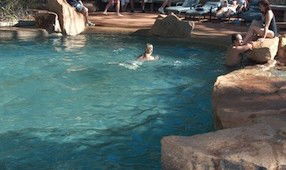 Mount Surprise QLD Dalby Accommodation