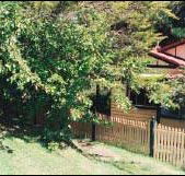 Apple Tree Cottage - Dalby Accommodation