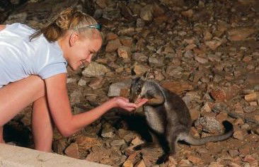 Heaviytrr Gap Outback Lodge - Dalby Accommodation 5