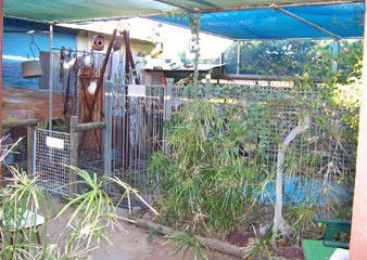 Safari Lodge Motel - Dalby Accommodation 1