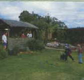 Tambo Lodge - Dalby Accommodation